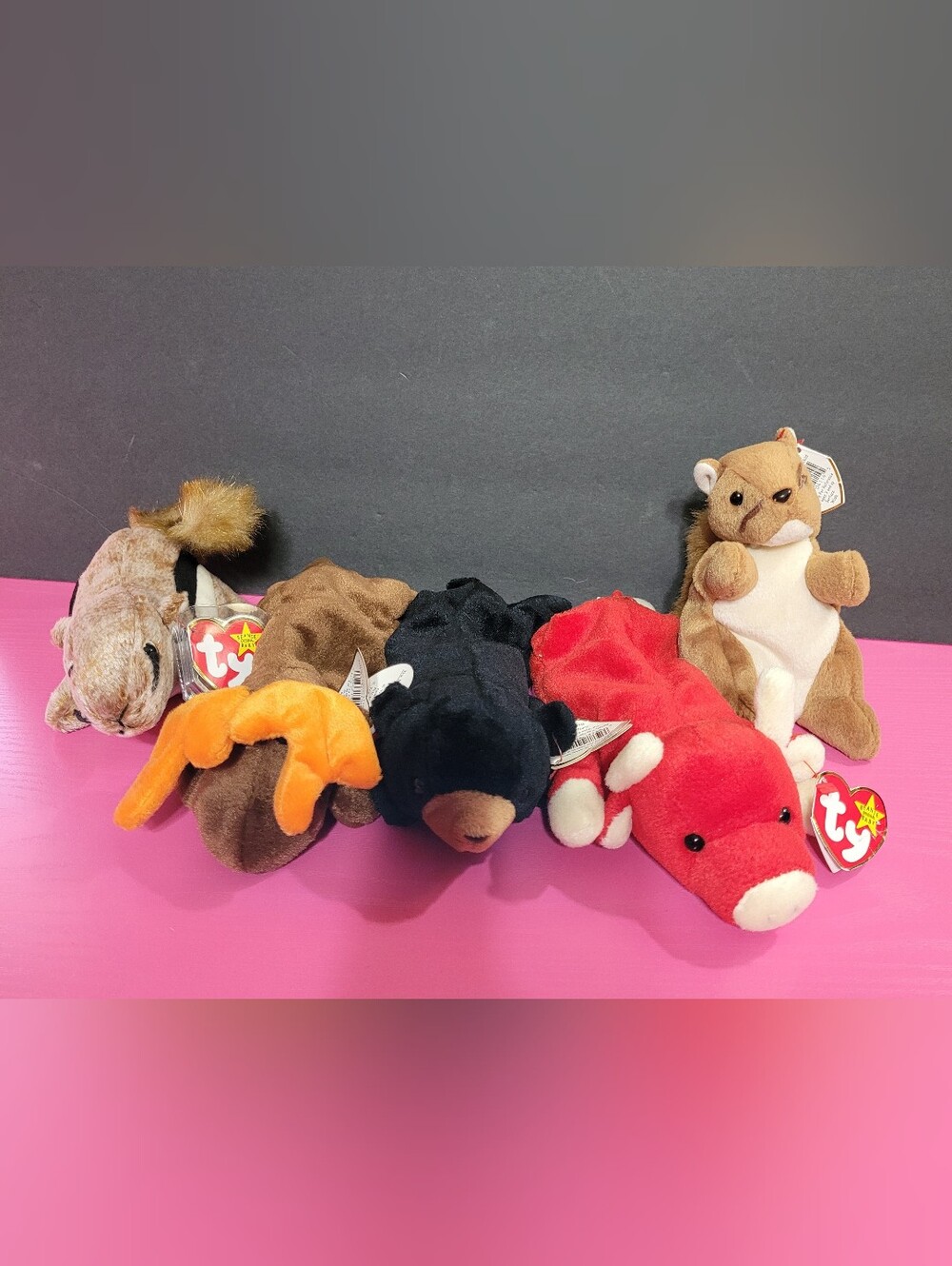 TY Beanie Babies Plush Animals Set Of 5 (1729)